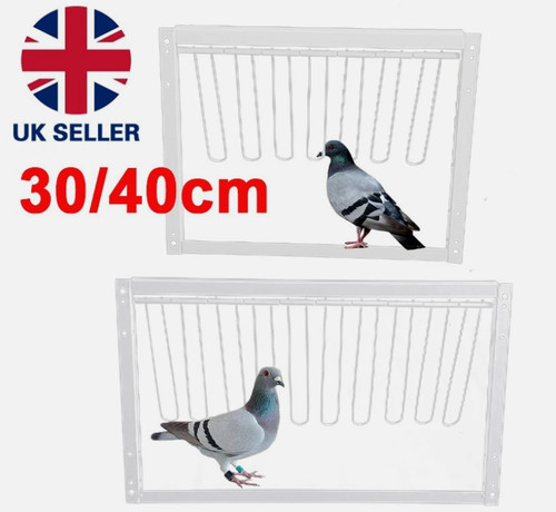 Removable pigeon entrance door - entrance,