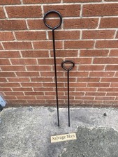 Vintage Cast Iron Plant