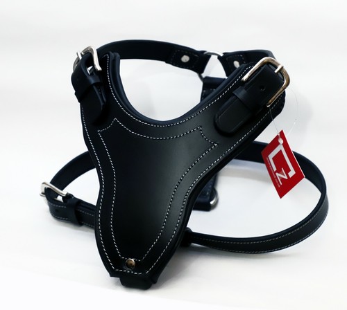 Leather designer dog - designer,