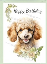 Poodle Apricot Dog Birthday