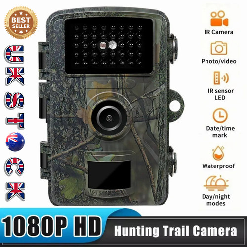 Wildlife trail camera night - 4k,