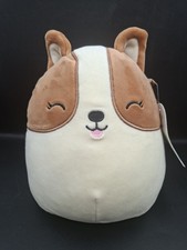 Squishmallows Regina the Corgi