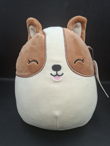 Squishmallows regina the corgi - regina,
