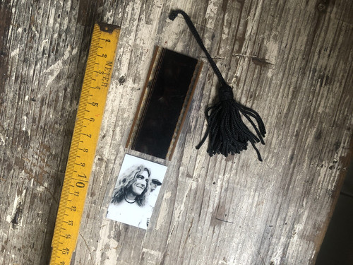 Rare robert plant - rare, +