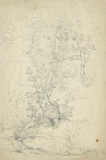 Lidford Waterfall - Antique