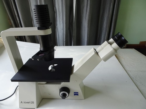 Zeiss axiovert inverted - zeiss,