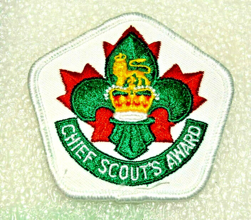 Mint boy scout chief - mint,
