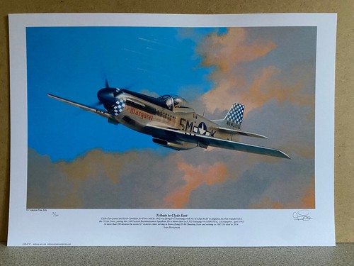 Ltd p51d mustang - no, ed