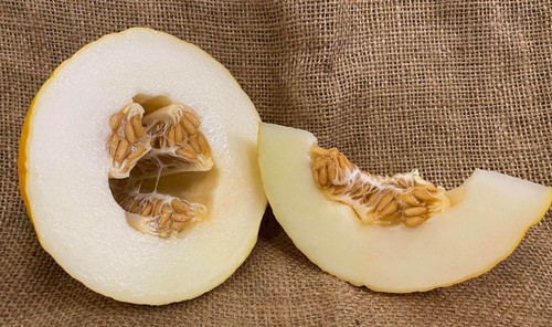Melon honeydew plug - 4x,