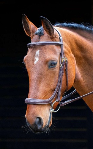 Shires salisbury berkeley - salisbury,