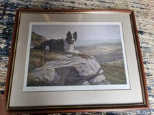 John Trickett Limited Edition