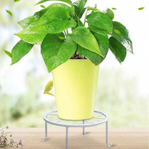 Wrought iron plant - wrought,