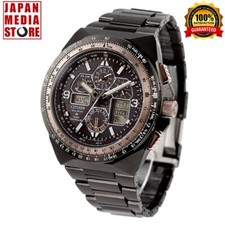 Citizen Promaster Sky