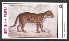 Staffa Scotland 1982 Felis