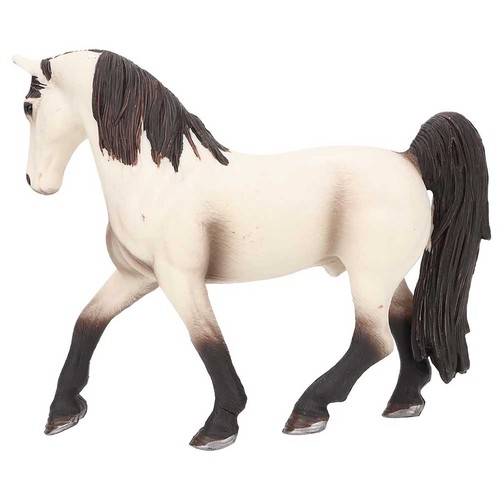 Certified solid horse - solid,