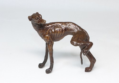 Greyhound cheeky lurcher - ,