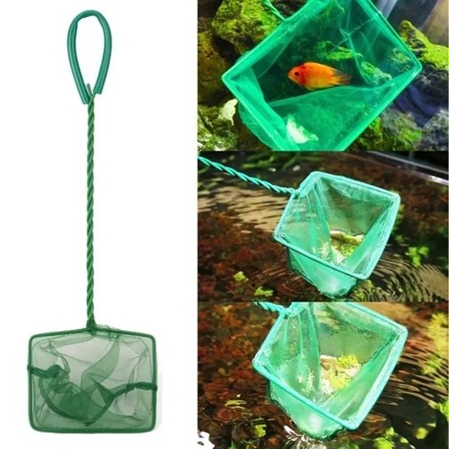 Aquarium fish net tropical - aquarium,