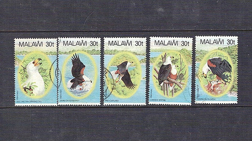 Malawi 1983 african sea - malawi:,