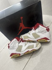Jordan 6 Retro “Alternate”