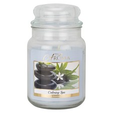 True Aroma Scented Candle 18oz