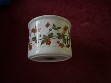 Vintage Portmeirion Botanic