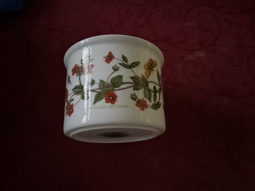 Vintage portmeirion botanic - vintage,