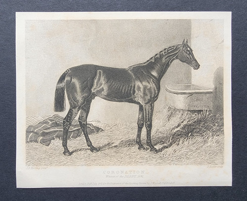Antique 1841 print horse - 1841,