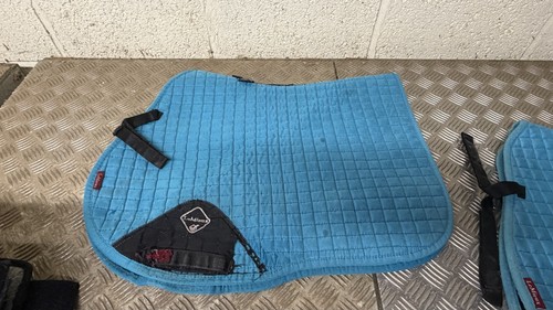 Lemieux turquoise pad - lemieux, gp