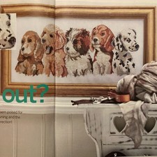 Row of puppy dogs beagle St