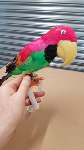 Qty parrots for pirates - 2,