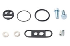 AS3 FUEL TAP REPAIR KIT for