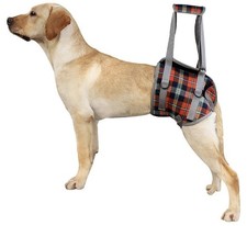 Dog Support Harness for Front