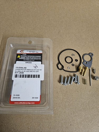 All balls carburetor rebuild - all,