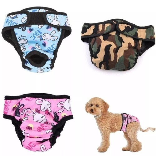 Xxl female pet dog - female, puppy