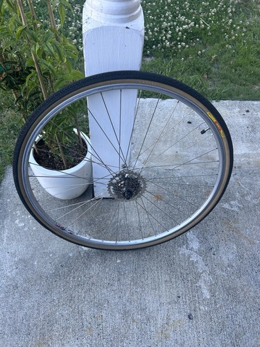 Rear wheel - rear,