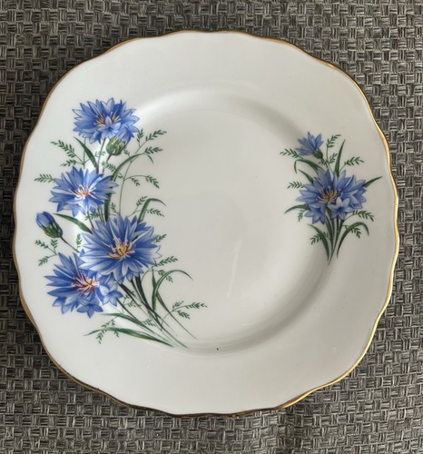 Royal vale cornflower bone - vale,
