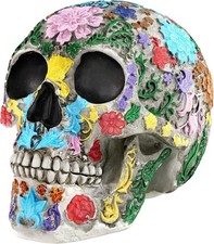 Readaeer skeleton skull - readaeer,