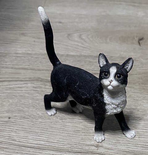 Leonardo collection cat - leonardo,
