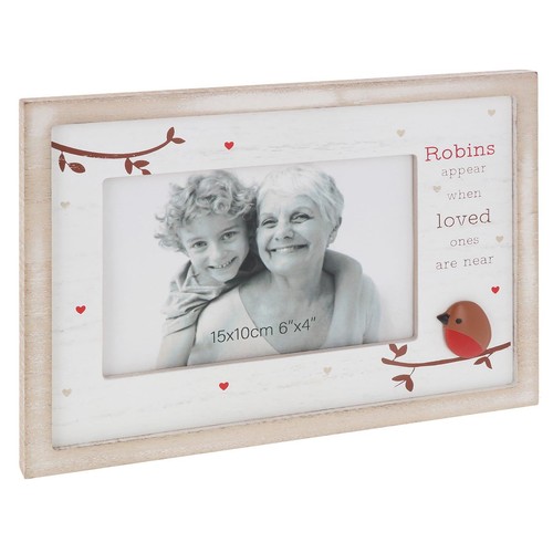 Shudehill giftware robins - shudehill,