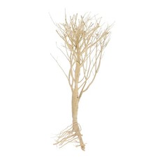 Underwater dead tree decor - underwater,