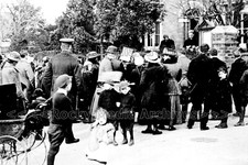 Tkk-50 Crowd Vicar, North