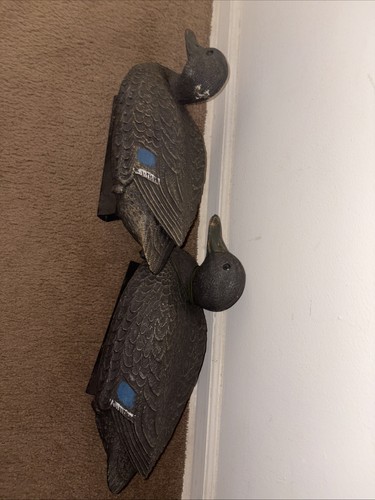 Flambeau duck decoys - duck,