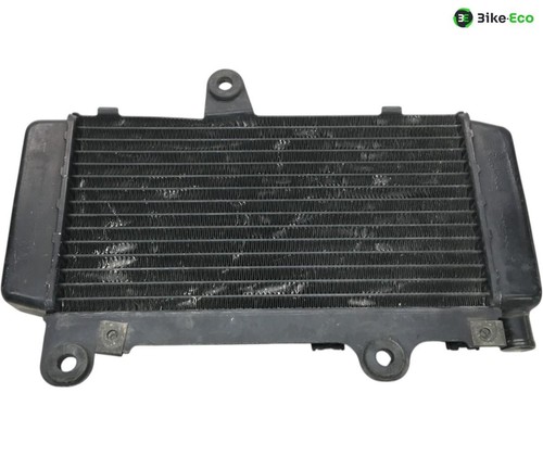 Yamaha 660 water radiator - xt,