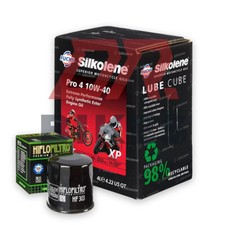 Fits Suzuki DL650 A V-Strom GT 2010 Silkolene Pro 4 10W40 and Oil Filter
