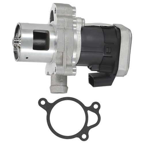 Egr valve for - valve,