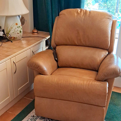 Beige leather upholstered - leather,