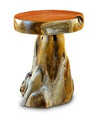 Root Wood Table 50 cm Wood