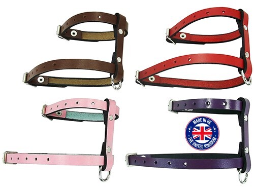 Leather dog harness for tea - leather,