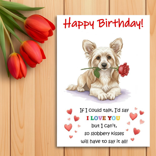 Chinese crested birthday card - chinese,