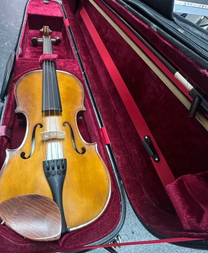 Viola stentor 1018332 with - viola,